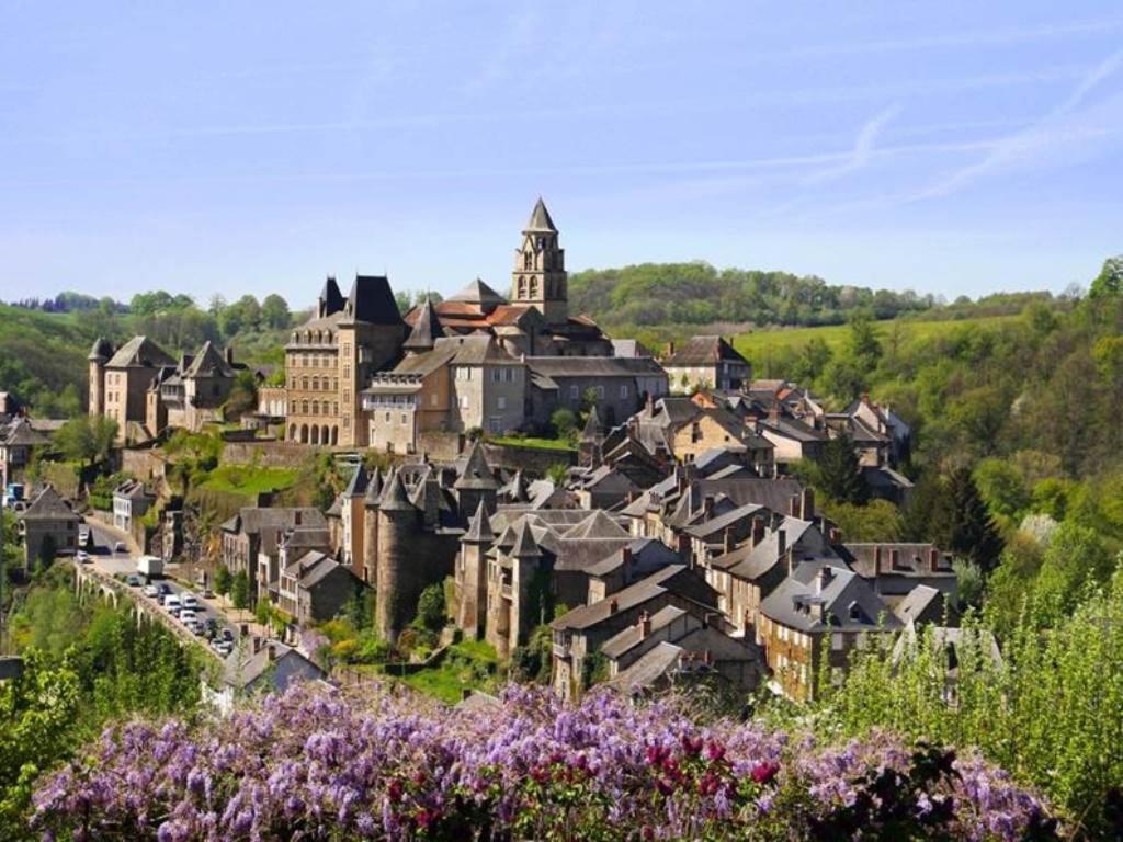 Les Gites Du Gauliat Espartignac Exterior photo